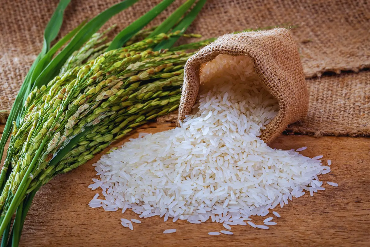 como-fazer-arroz-de-jasmim-delicadamente-perfumado