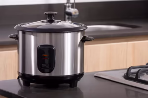 onde-comprar-panela-eletrica-de-arroz-mais-barato